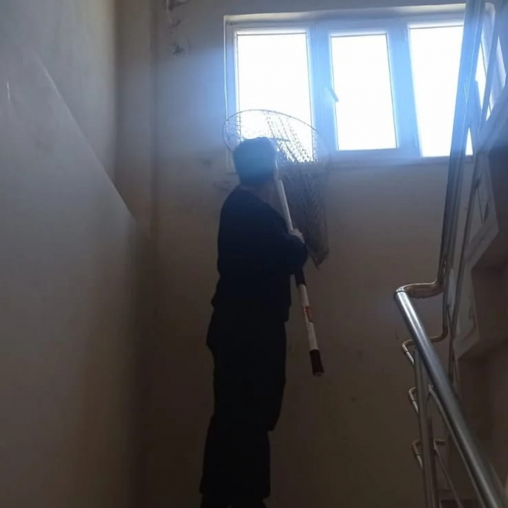 Siirt'te Apartman İçinde Mahsur Kalan Güvercini İtfaiye Kurtardı