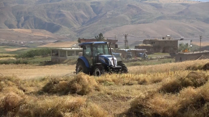 Türkiye'de Üretiminin Büyük Bölümü Siirt'te Karşılanıyor! Çiftçi Desteklerin Artırılmasını İstiyor