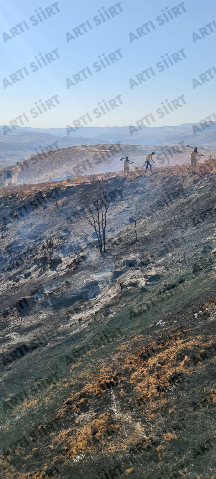 Siirt'te Orman Yangını