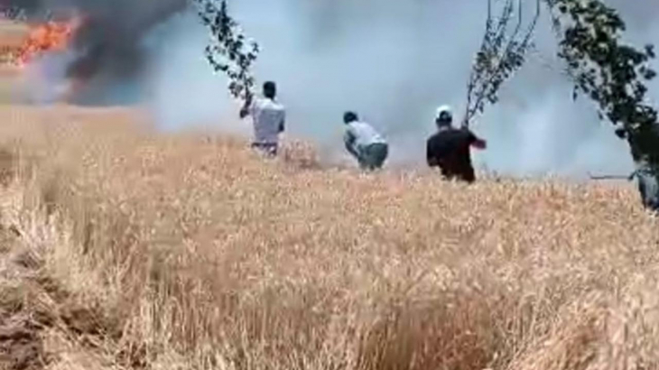 Kozluk'ta 100 dönüm buğday tarlası yanarak küle döndü