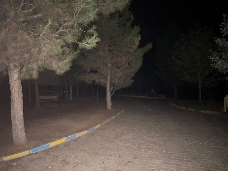 Siirt'te Yıldırımın İsabet Ettiği Trafo Yandı, Botanik Park Karanlığa Büründü!