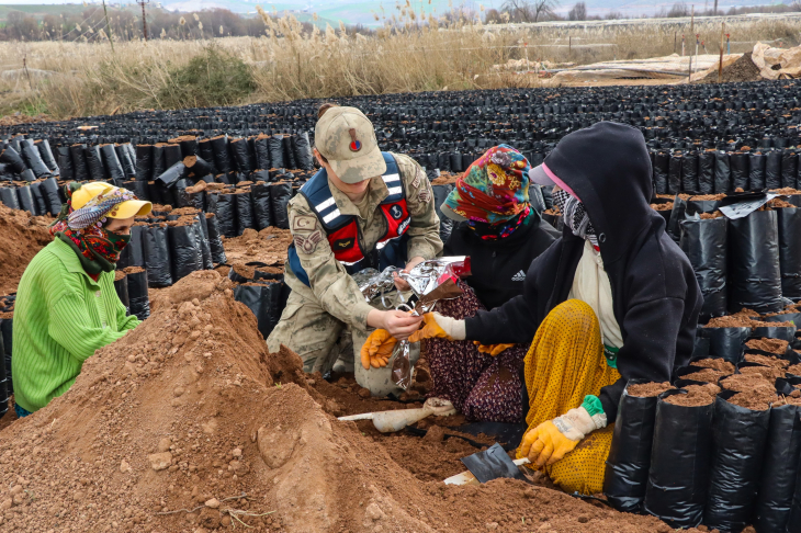 Siirt'te jandarma kadınlara karanfil dağıttı
