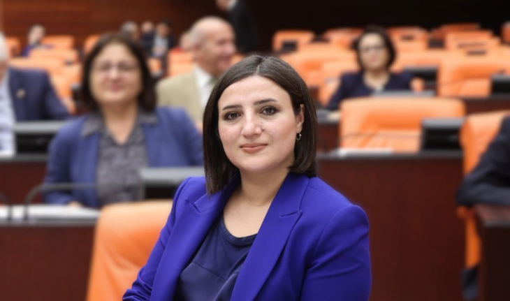 Siirt Milletvekili Sabahat Erdoğan Sarıtaş Nevale Kasaba'nın imara açılmasını genel kurula taşıdı!