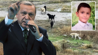 Cumhurbaşkanı Erdoğan Ankara'daki Vahşete Sessiz Kalmadı!