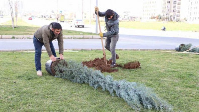 Diyarbakır'da ağaçlandırma çalışması