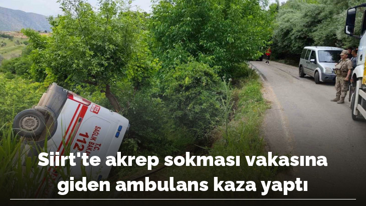 Siirt'te akrep sokması vakasına giden ambulans kaza yaptı
