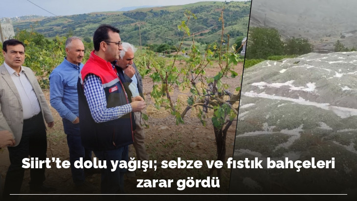 Siirt'te dolu yağışı sebze ve fıstık bahçeleri zarar gördü