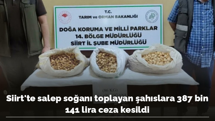 Siirt'te salep soğanı toplayan şahıslara 387 bin 141 lira ceza kesildi