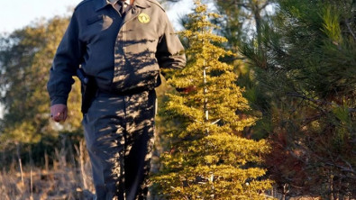 Orman Genel Müdürlüğü 3.500 Orman Muhafaza Memuru Alımı Yapacak