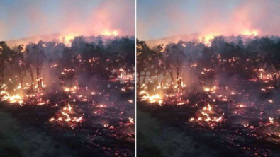 Siirt Milletvekillerinden  'Siirt'teki orman yangınları araştırılsın' önergesi