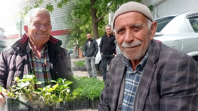 Siirt'te 29 yıl önce köylerini terk ettiler, sebze fidesi üreterek geçimlerini sağlıyor