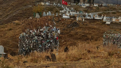 Siirt'te Ağaca Bez Parçası Bağlayıp Dilek Tutuyorlar