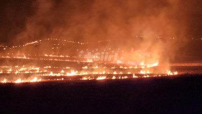 Siirt'te anız yangını 12 saatte söndürüldü! 500 dönüm tarım arazisi zarar gördü!