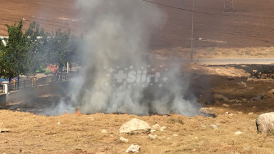 Siirt'te Belediye Parkının Yanındaki Otluk Alanda Çıkan Yangın Söndürüldü