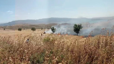 Siirt'te Buğday Tarlasında Çıkan Yangın Çiftçinin Emeğini Küle Çevirdi