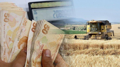 Siirt'te Buğday ve Arpa Üreticilerine TMO Alım Primi Desteği Ödenecek