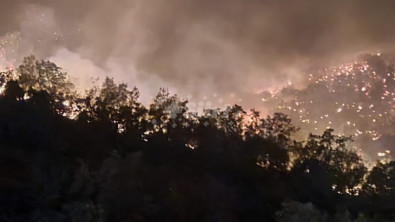 Siirt'te Büyük Orman Yangını! 3 İlden Gelen Destek Ekip Yangına Müdahale Ediyor!