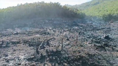 Siirt'te Çıkan Orman Yangını 15 Saatlik Müdahaleyle Kontrol Altına Aldı! Bilanço Büyük