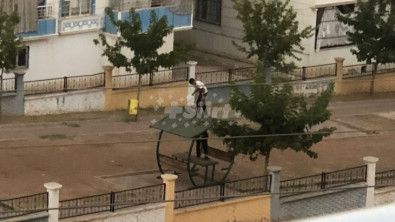 Siirt'te Çocukların Parktaki Tehlikeli Oyunu Cep Telefonu Kamerasına Yansıdı