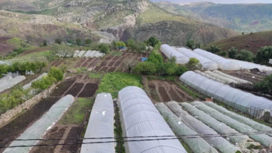 Siirt'te dolu Hasarında Zarar Gören Çiftçilere 1 Milyon 500 Bin Lira Destek Verildi!