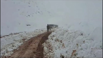 Siirt'te karda mahsur kalan 5 araç ve minibüsteki 15 kişi kurtarıldı