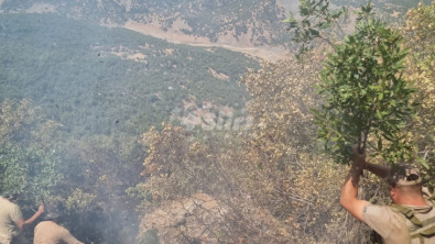 Siirt'te Orman Yangını! Dumandan Etkilenen 3 Kişi Hastaneye Kaldırıldı