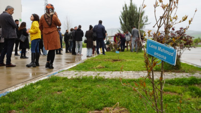 Siirt Üniversitesinde 6 Şubat Depreminde Hayatını Kaybeden Öğrenciler Anısına Fidan Dikildi