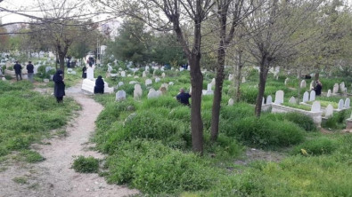 TÜİK, Siirt'te 1 yılda hayatını kaybedenlerin sayısını açıkladı!